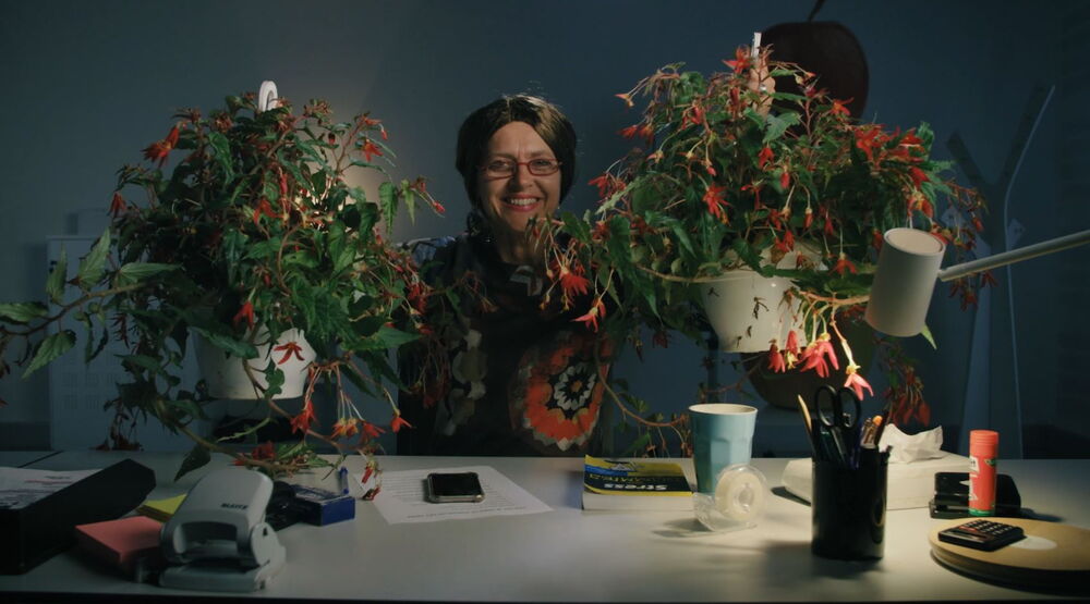 No Stress met I.De.We